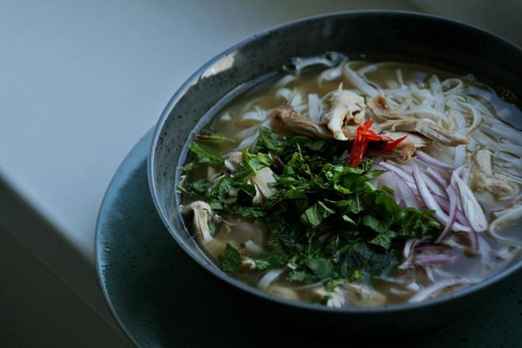 Instant Pot Vietnamese Pho with Chicken and Vermicelli - Pressure Cooking Recipe