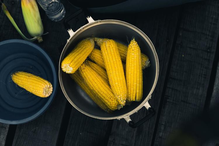 Instant Pot Corn on the Cob - Pressure Cooking Recipe